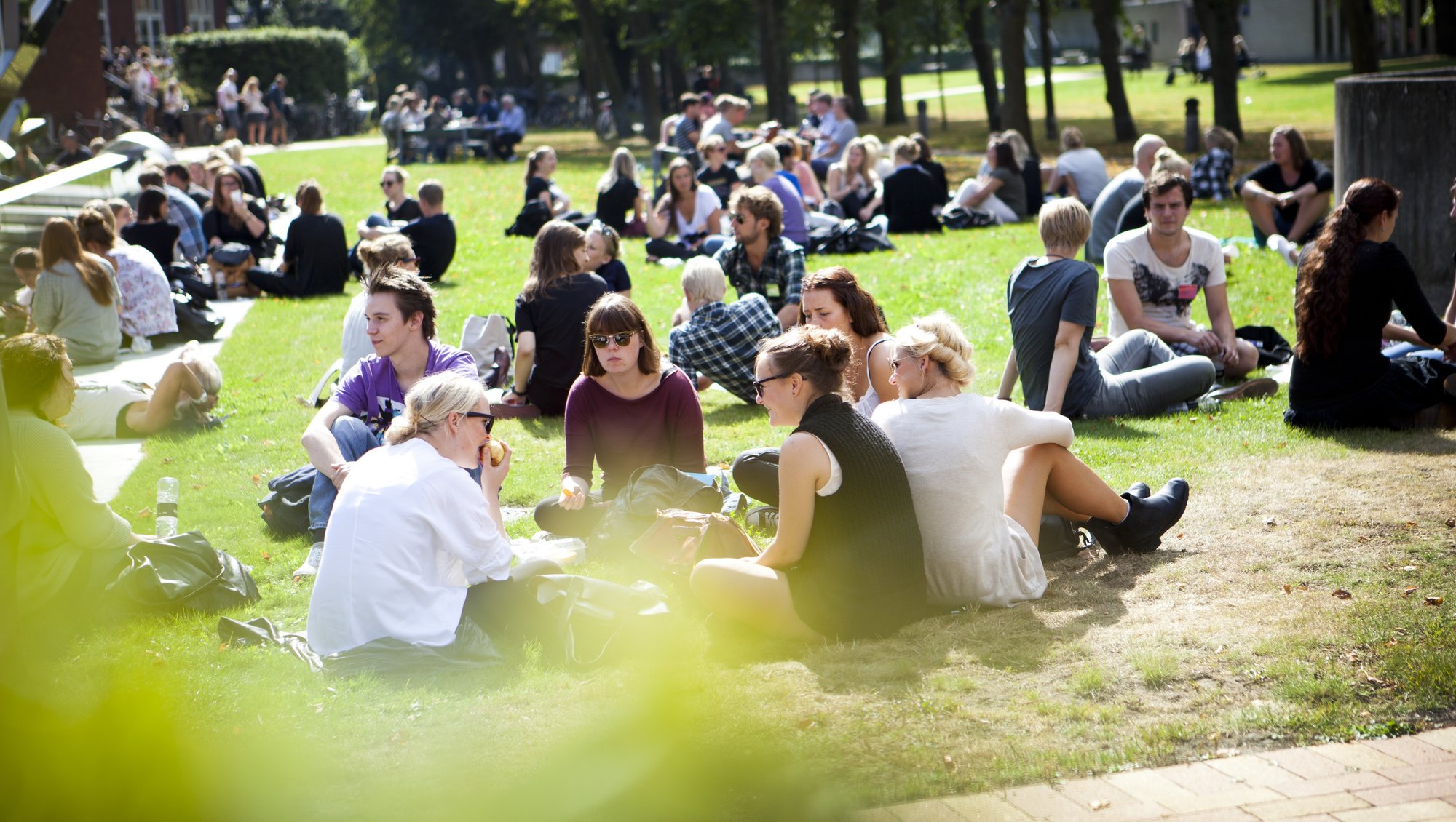 Der er massere af socialt liv om sommeren på Campus Emdrup